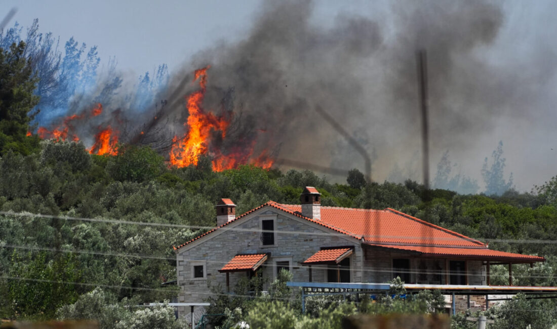 İZMİR (AA) – İzmir'in Foça ilçesindeki ormanlık alanda çıkan yangın,