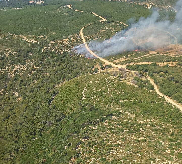 İZMİR (AA) – İzmir'in Foça ilçesinde çıkan orman yangınına havadan
