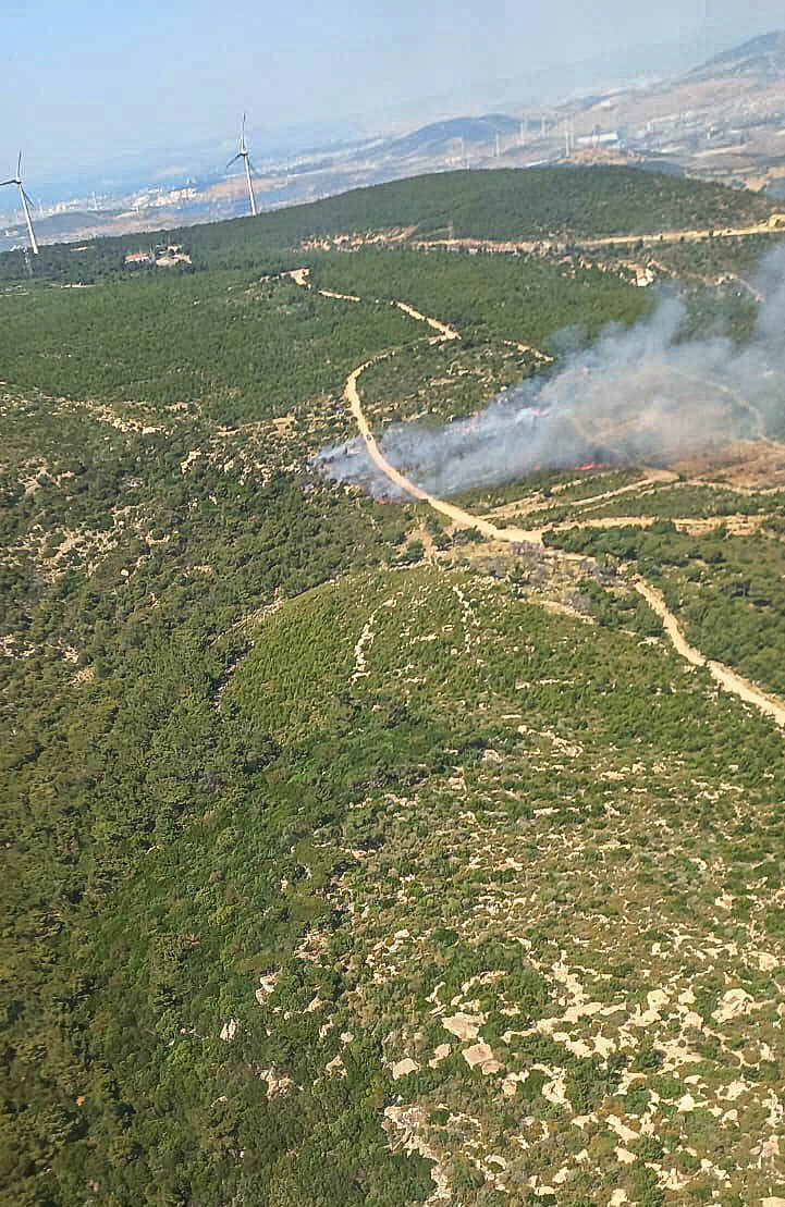 İZMİR (AA) – İzmir'in Foça ilçesinde çıkan orman yangınına havadan