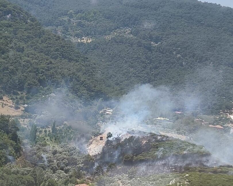 İZMİR (AA) – İzmir'in Kemalpaşa ilçesinde çıkan orman yangınına havadan