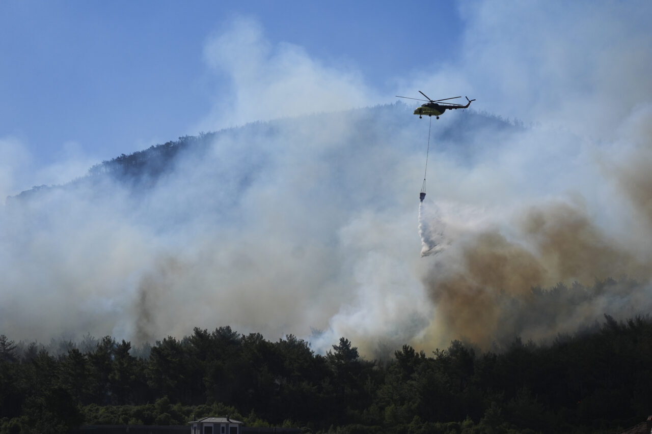 İZMİR (AA) – İzmir'in Seferihisar ve Menderes ilçelerinde çıkan orman