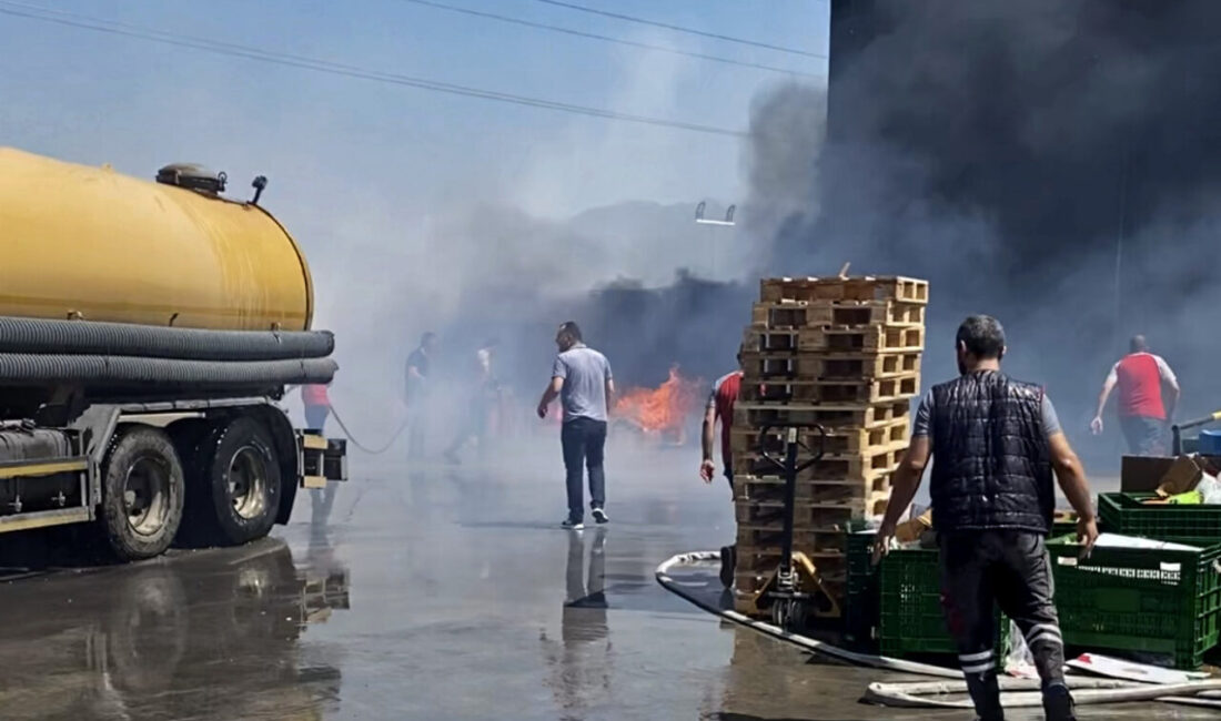 İZMİR (AA) – İzmir'in Kemalpaşa ilçesinde bir deponun bahçesinde çıkan