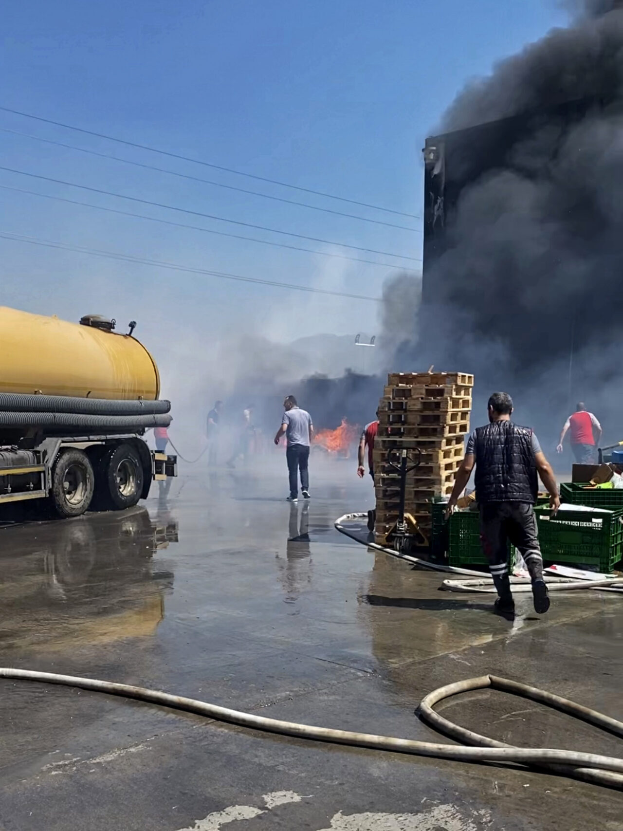 İZMİR (AA) – İzmir'in Kemalpaşa ilçesinde bir deponun bahçesinde çıkan