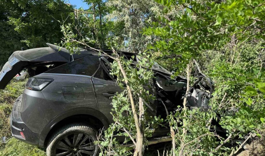 Afyonkarahisar’da kontrolden çıkarak yol kenarındaki ağaçlık alana giren otomobilde biri