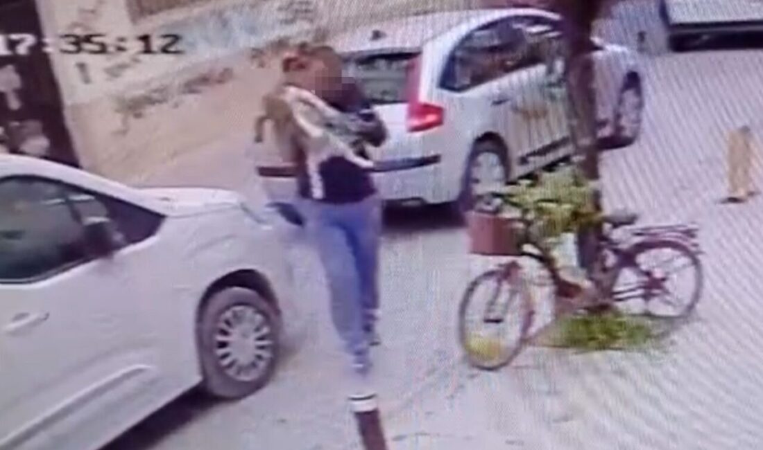 Eskişehir’de bir sokakta kucağındaki köpeği yere sertçe fırlatan şüpheli, Çevre,