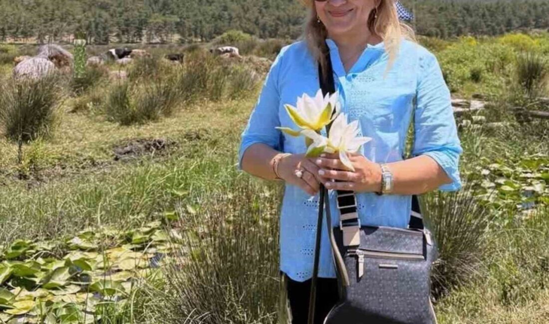 - MSKÜ Fen Fakültesi Kimya Bölümü Öğretim Üyesi Prof. Dr.