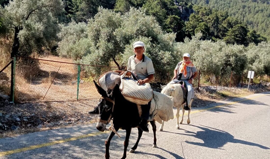 MUĞLA (AA) – Muğla'nın Fethiye ilçesinde bu yıl 22'ncisi düzenlenen