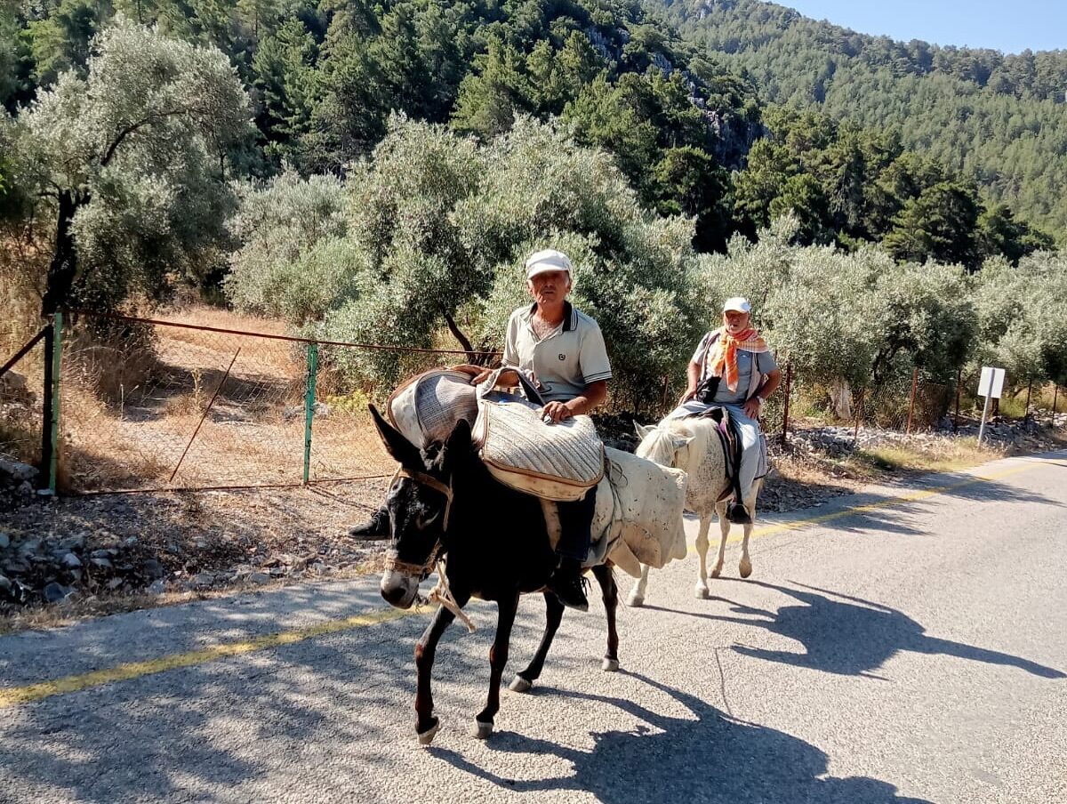 MUĞLA (AA) – Muğla'nın Fethiye ilçesinde bu yıl 22'ncisi düzenlenen