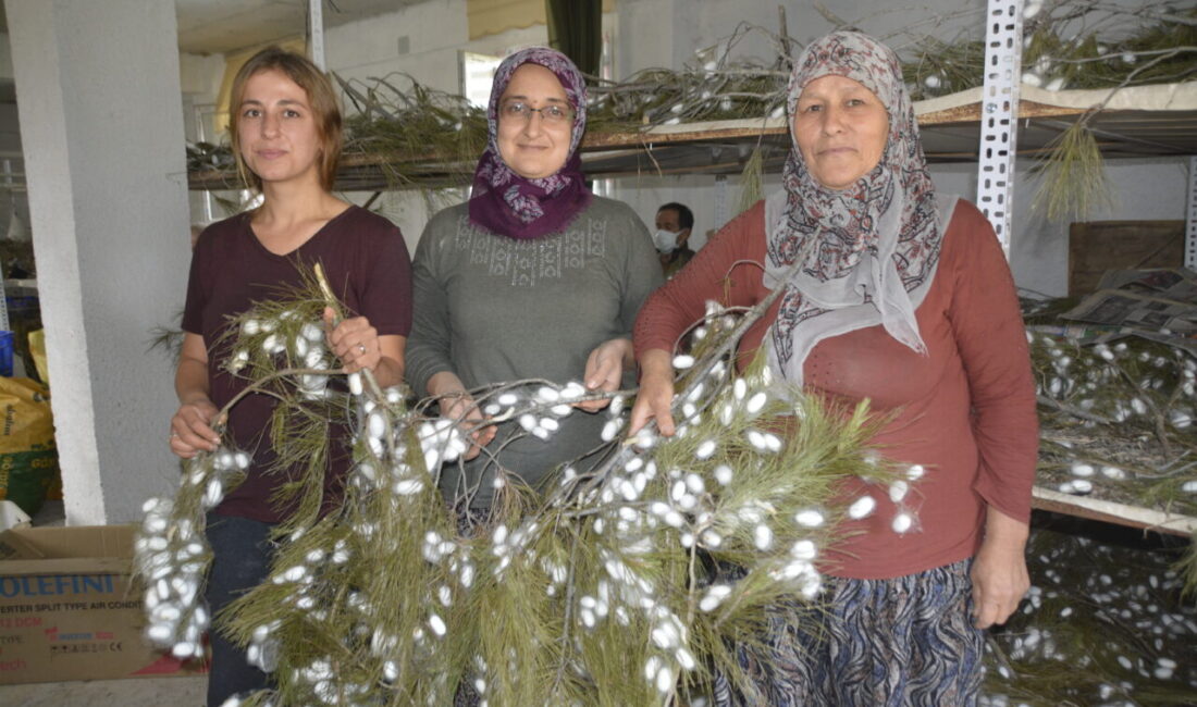 - Yılda yaklaşık 100 kilo koza üreten anne kız, yeterli