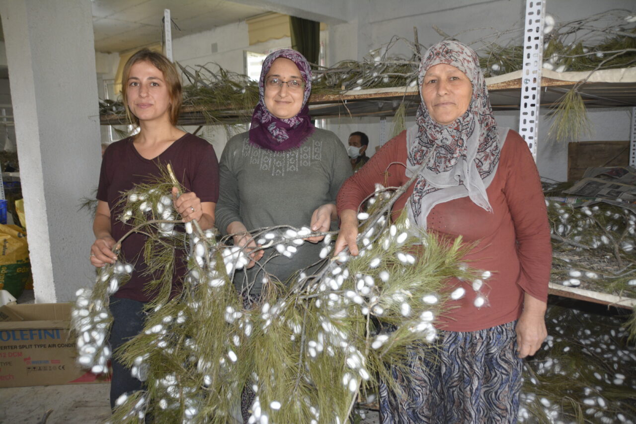 - Yılda yaklaşık 100 kilo koza üreten anne kız, yeterli