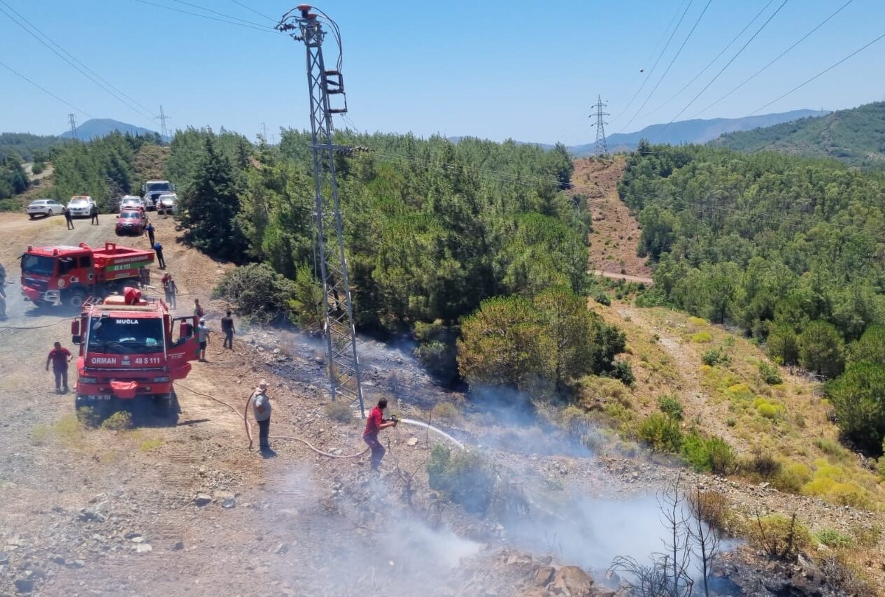 MUĞLA (AA) – Muğla'nın Marmaris ilçesinde çıkan orman yangını büyümeden