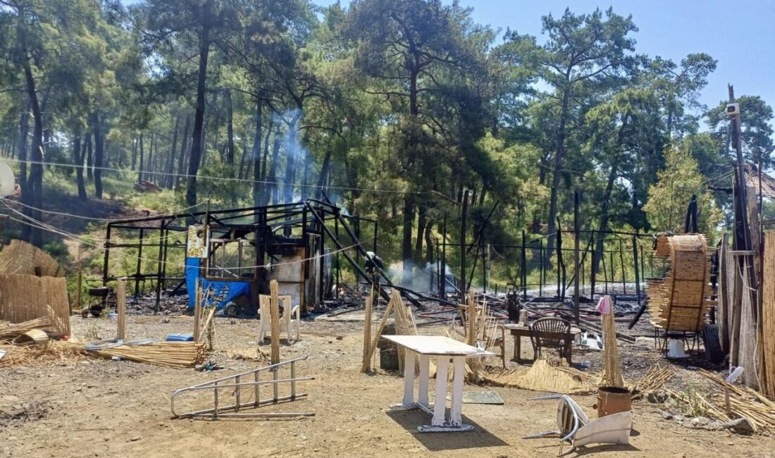 MUĞLA (AA) – Muğla'nın Ortaca ilçesinde yol kenarındaki iş yerinde