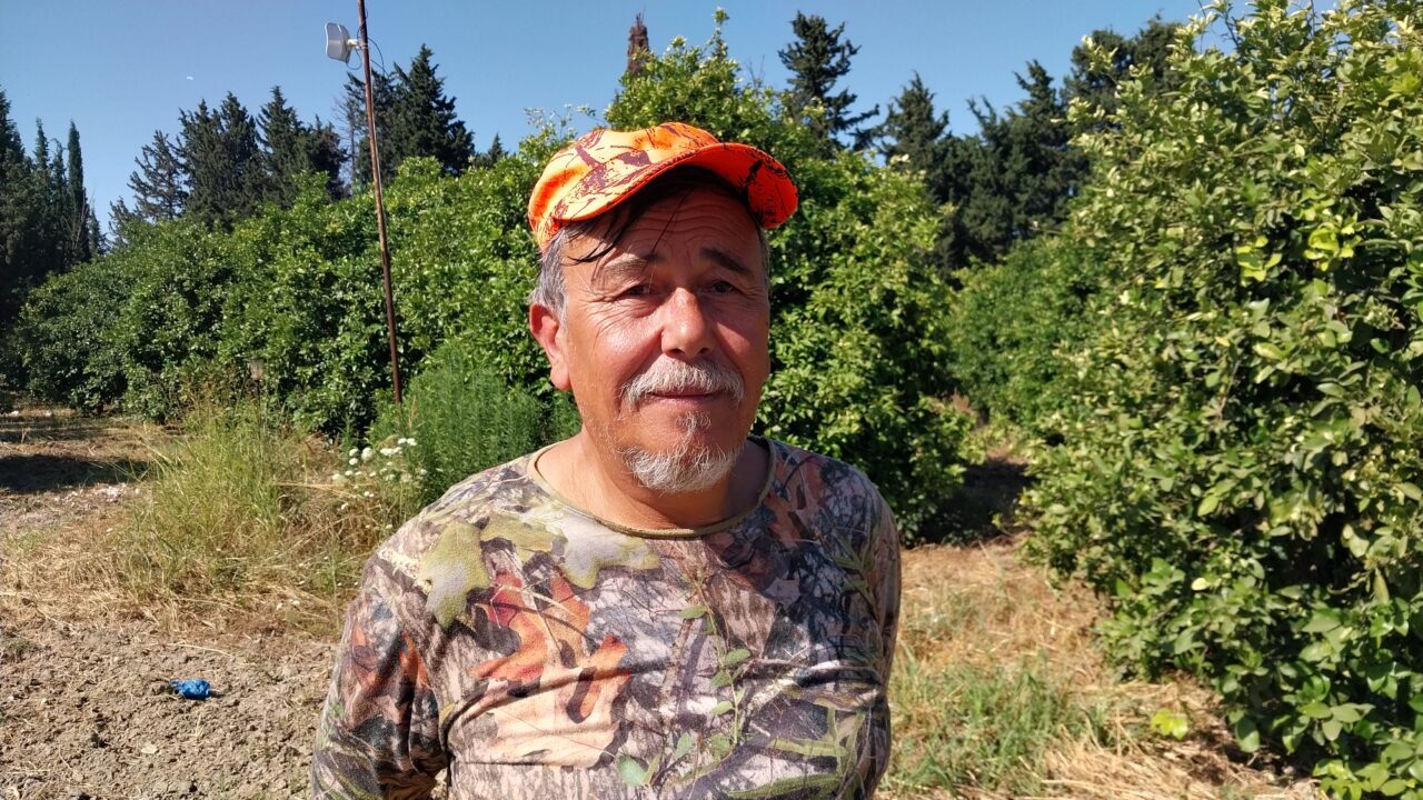 MUĞLA (AA) – Tarım İşletmeleri Genel Müdürlüğü (TİGEM) Dalaman İşletme