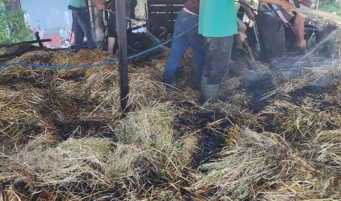 İZMİR (AA) – İzmir'in Ödemiş ilçesinde evde çıkan yangın, itfaiye