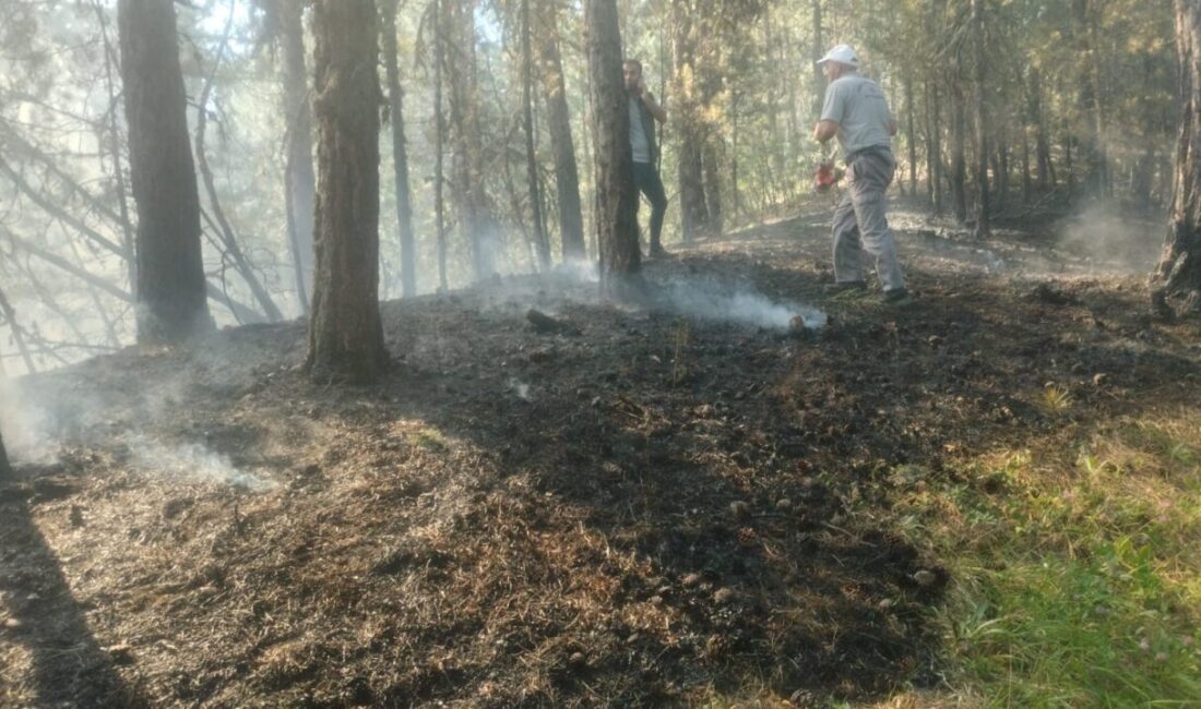 Afyonkarahisar’da ormanlık alanda çıkan örtü yangını büyümeden kontrol altına alındı.