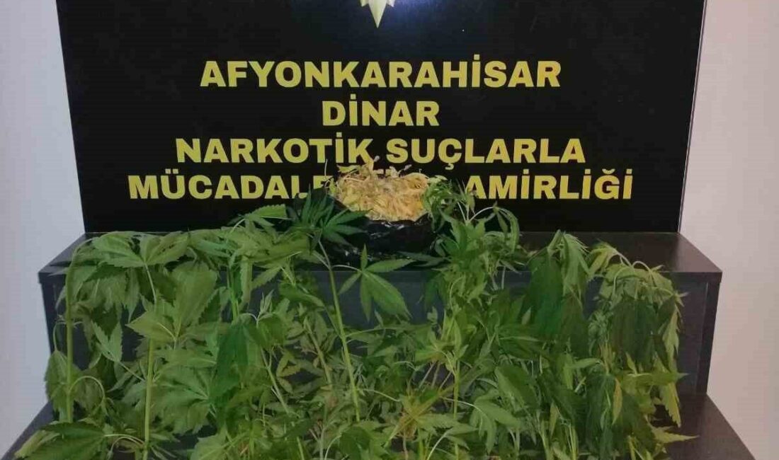 Afyonkarahisar’da polis tarafından bir adrese yapılan baskında 37 kök dikili