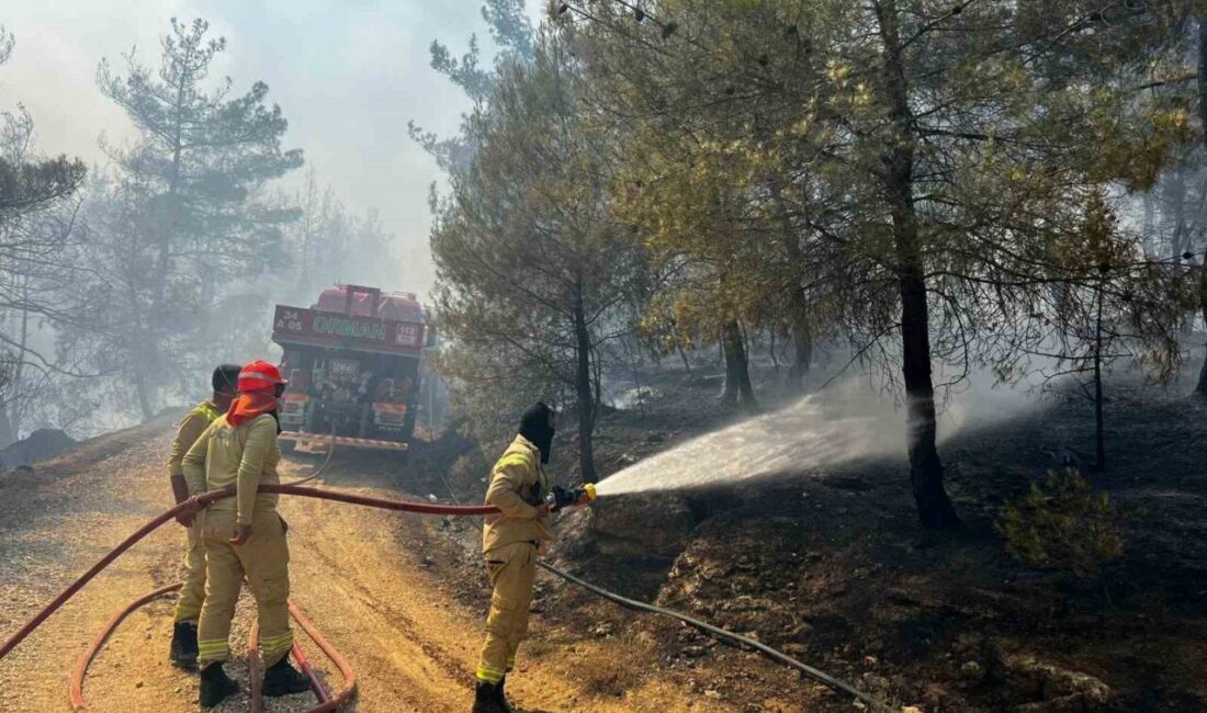 Sakarya’da başlayan ve Bilecik’in Gölpazarı ilçesine sıçrayan orman yangını bu