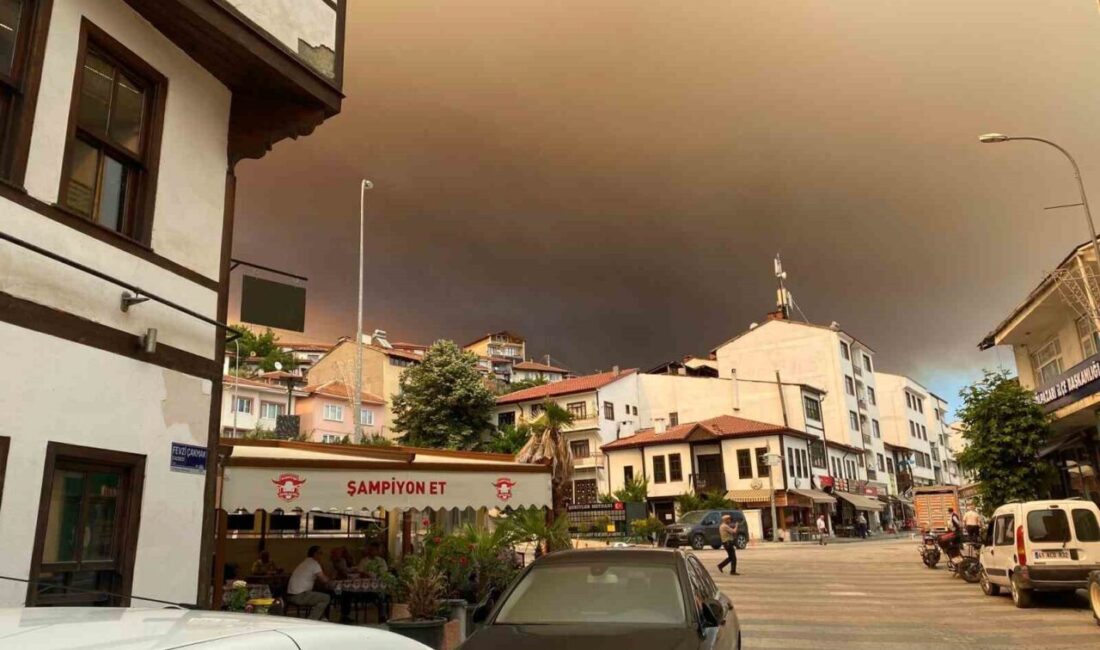 Sakarya’nın Taraklı ilçesinde çıkan orman yangını Bilecik’in Gölpazarı ilçesine bağlı