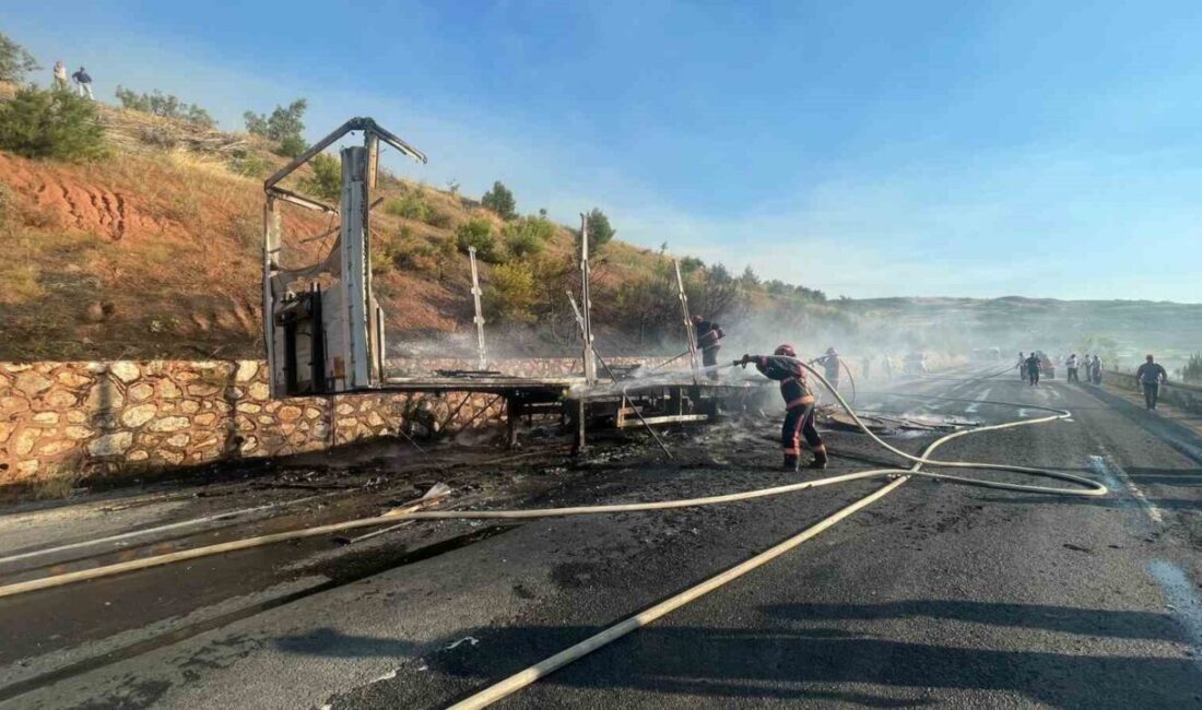 Bilecik’in Osmaneli ilçesinde sunta yüklü tırın dorsesi alev alev yandı.