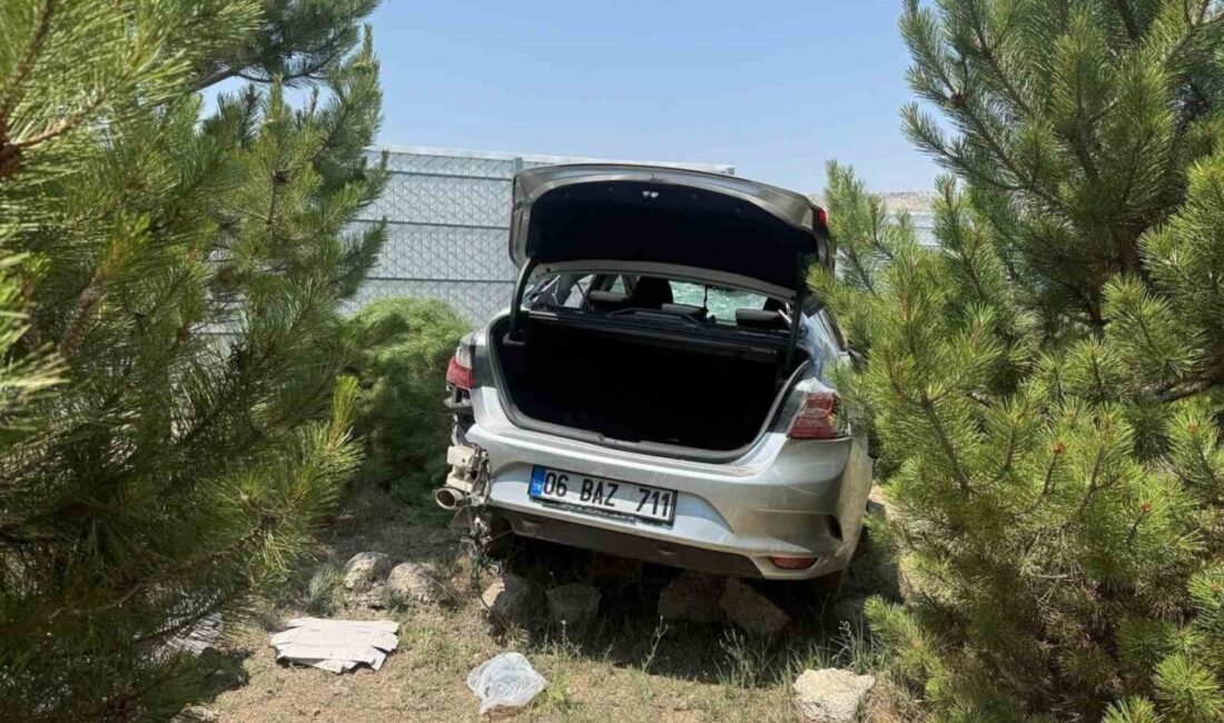 Afyonkarahisar’da kontrolden çıkarak takla atıp ardından ormanlık alanına giren otomobilde