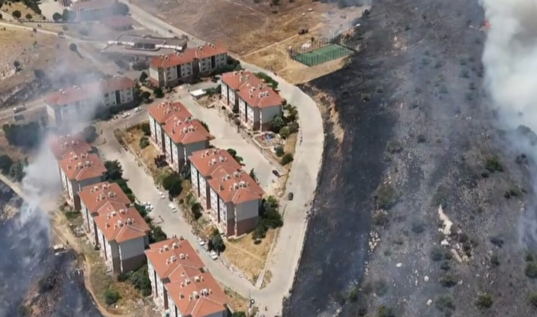 İZMİR (AA) – İzmir'in Tire ilçesinde otluk alanda çıkan yangın