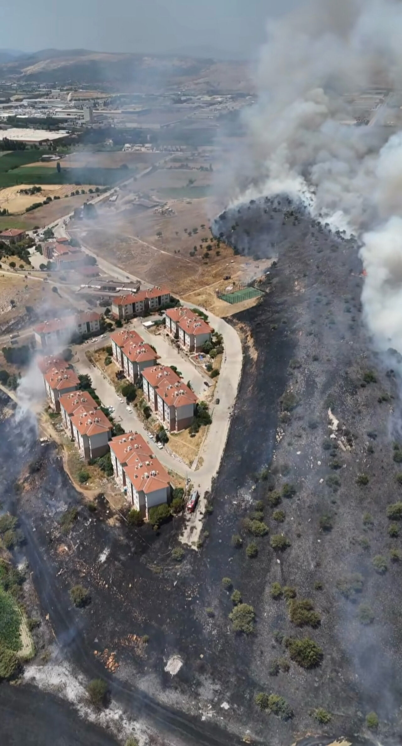 İZMİR (AA) – İzmir'in Tire ilçesinde otluk alanda çıkan yangın