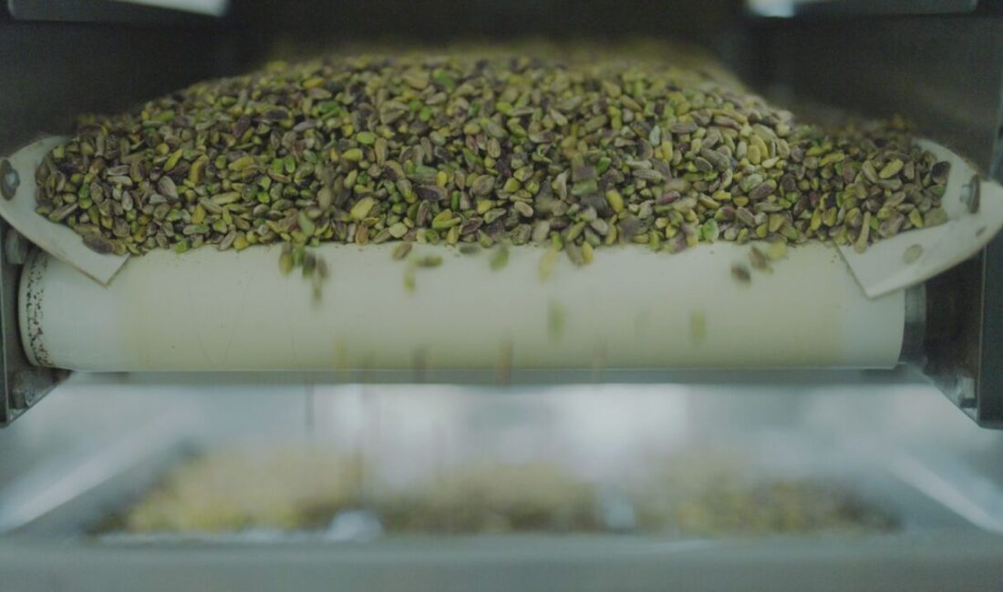 - Tiryaki Agro, Gaziantep'teki yeni yatırımıyla katma değerli fıstık ürünlerine