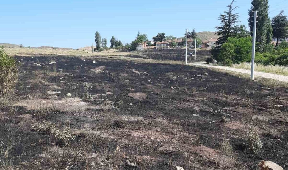 Eskişehir’de boş araziye atılan torpilin sebep olduğu yangın sonucu 15
