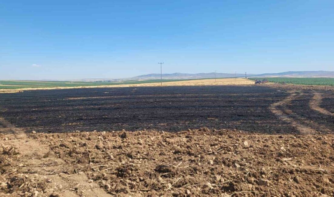 Eskişehir’de buğday hasadı sonrasında 40 dönümlük tarım arazisinde yangın çıktı.