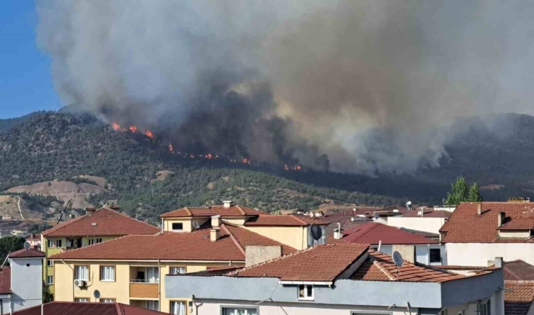 Bilecik’in Osmaneli ilçesinde 4 köyün boşaltıldığı büyük orman yangını sonrası