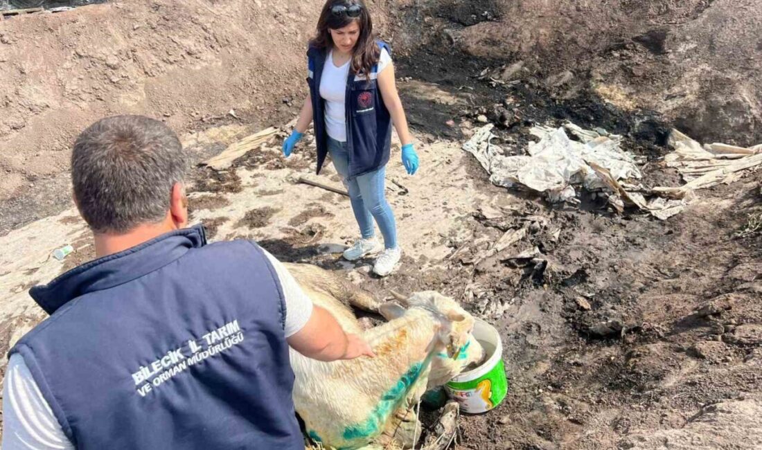 Bilecik’te 3 gün süren ve dün yağmurun etkisiyle söndürülen orman
