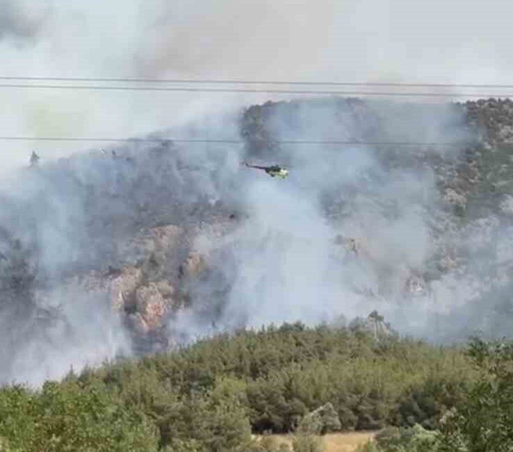 Bilecik’in Gölpazarı ilçesi yakınlarında başlayan ve kontrol altına alınan orman
