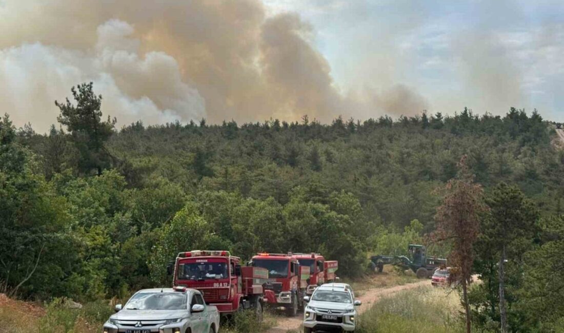 Bilecik’in Vezirhan beldesine bağlı Zobran köyünde bir orman yangını daha
