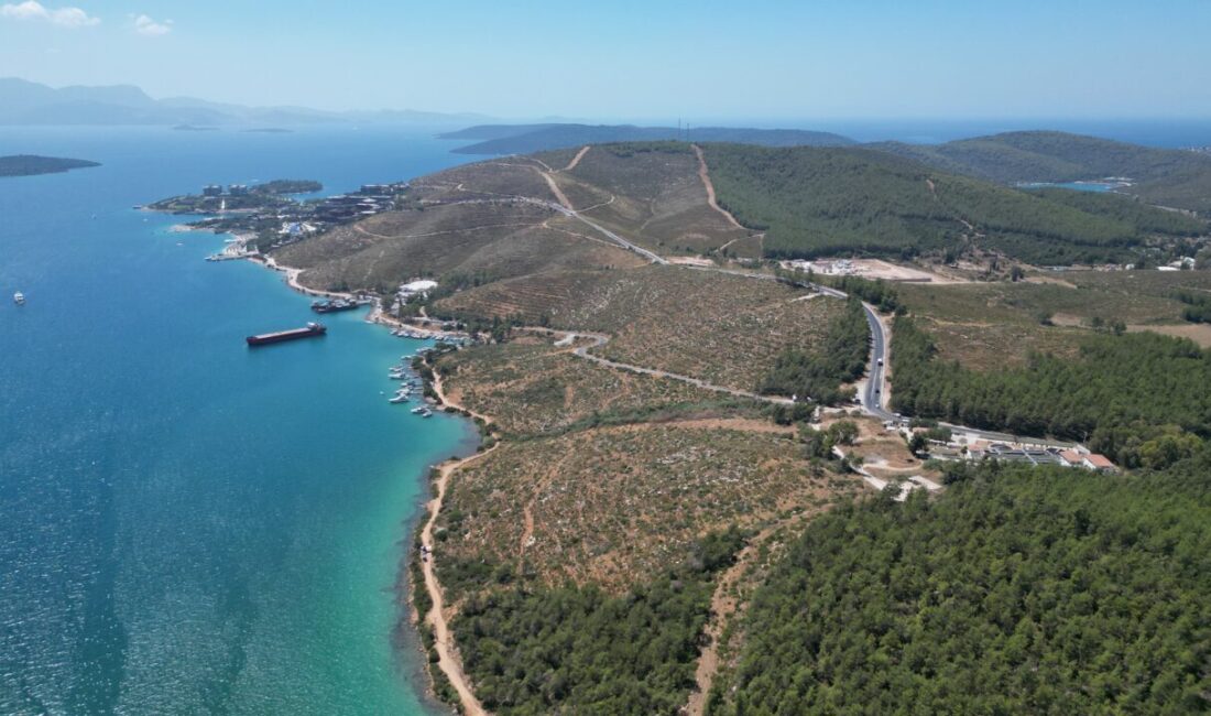 MUĞLA (AA) – Muğla'nın Bodrum ilçesine bağlı Güvercinlik Mahallesi'nde 4