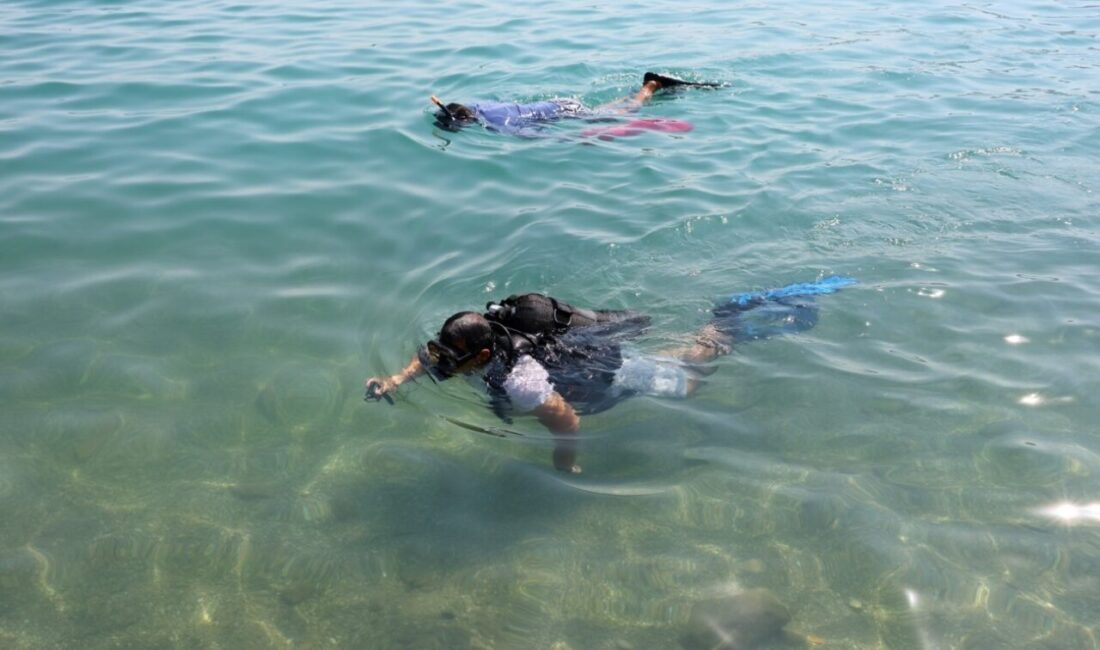 MUĞLA (AA) – Muğla'nın Bodrum ilçesinde "Denize en çok mavi