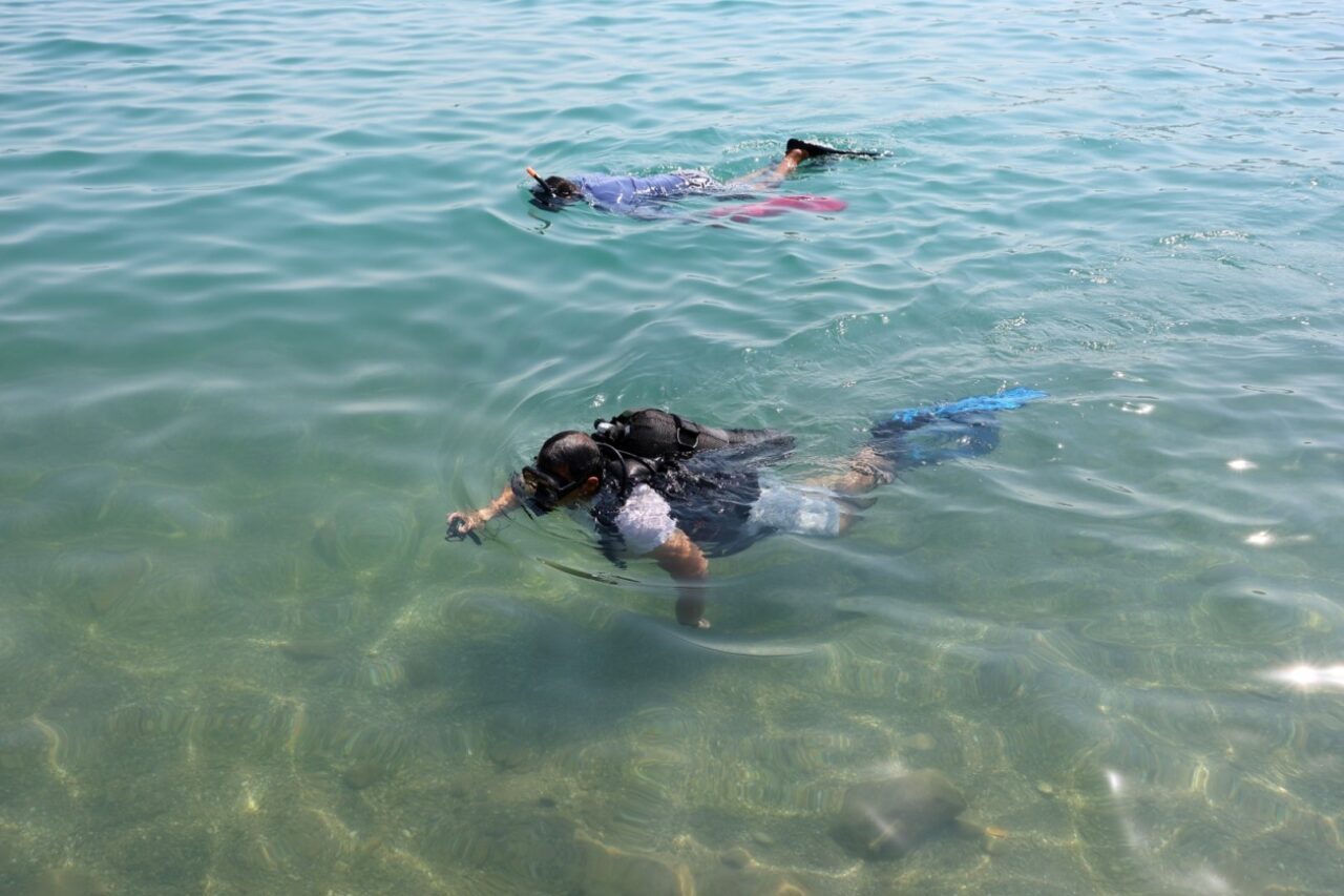 MUĞLA (AA) – Muğla'nın Bodrum ilçesinde "Denize en çok mavi