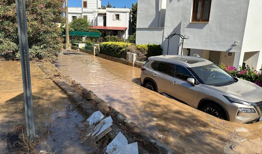 MUĞLA (AA) – Muğla'nın Bodrum ilçesinde içme suyu isale hattında