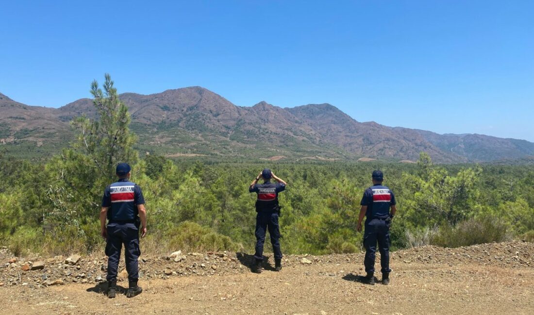 MUĞLA (AA) – Muğla'nın Datça ilçesinde ormanlık alana izinsiz giren