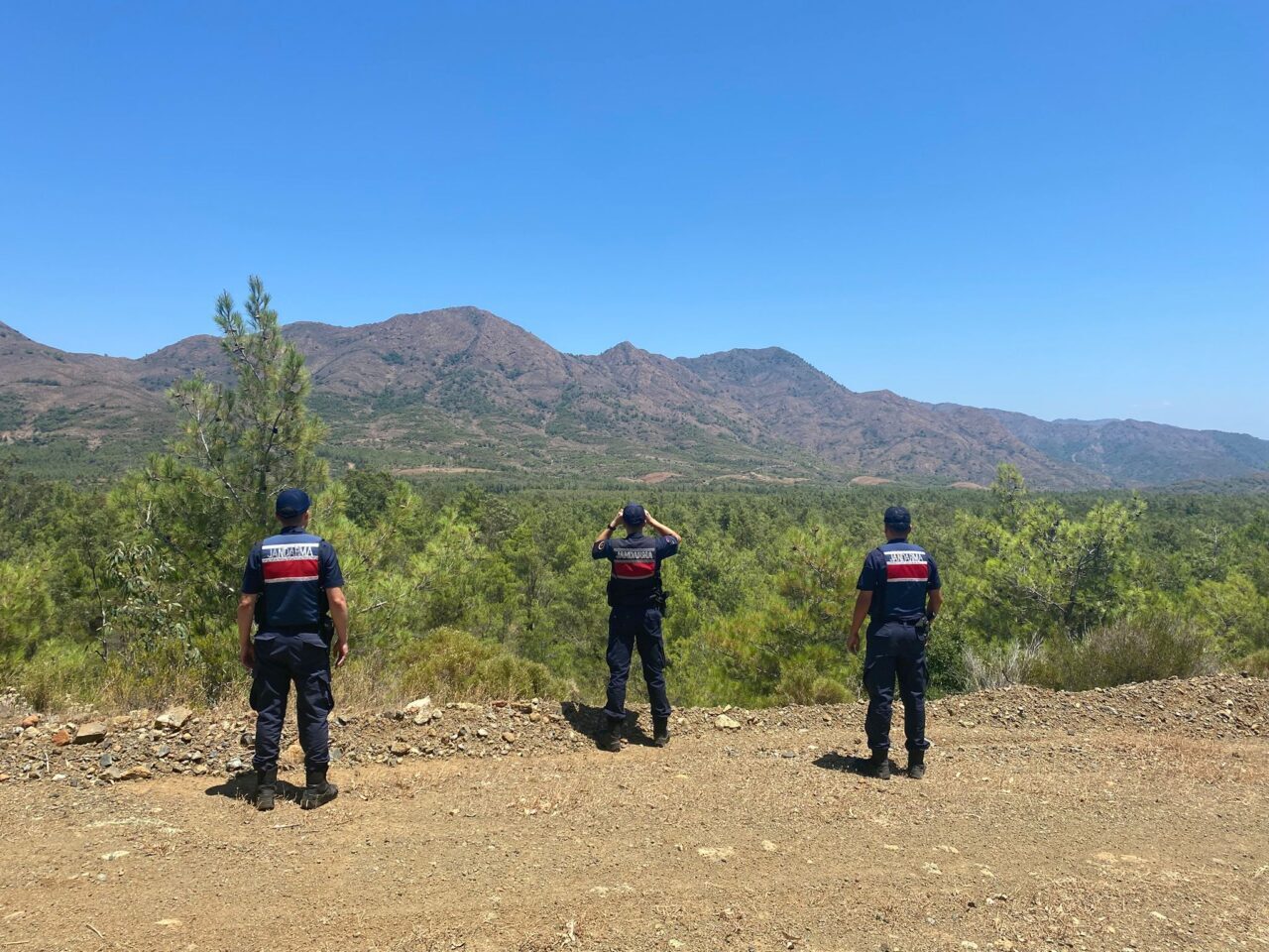 MUĞLA (AA) – Muğla'nın Datça ilçesinde ormanlık alana izinsiz giren
