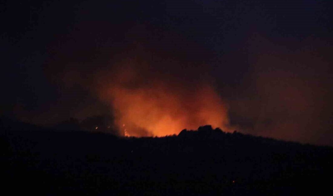 Eskişehir’in Seyitgazi ilçesinde söndürme çalışmaları süren orman yangınında havadan müdahaleye