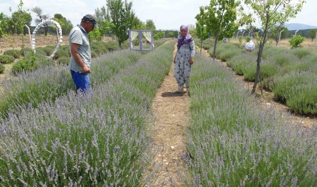 Kütahya’nın Aloğlu köyünde yaşayan İsmail ve Emine Daşgın çifti, hobi