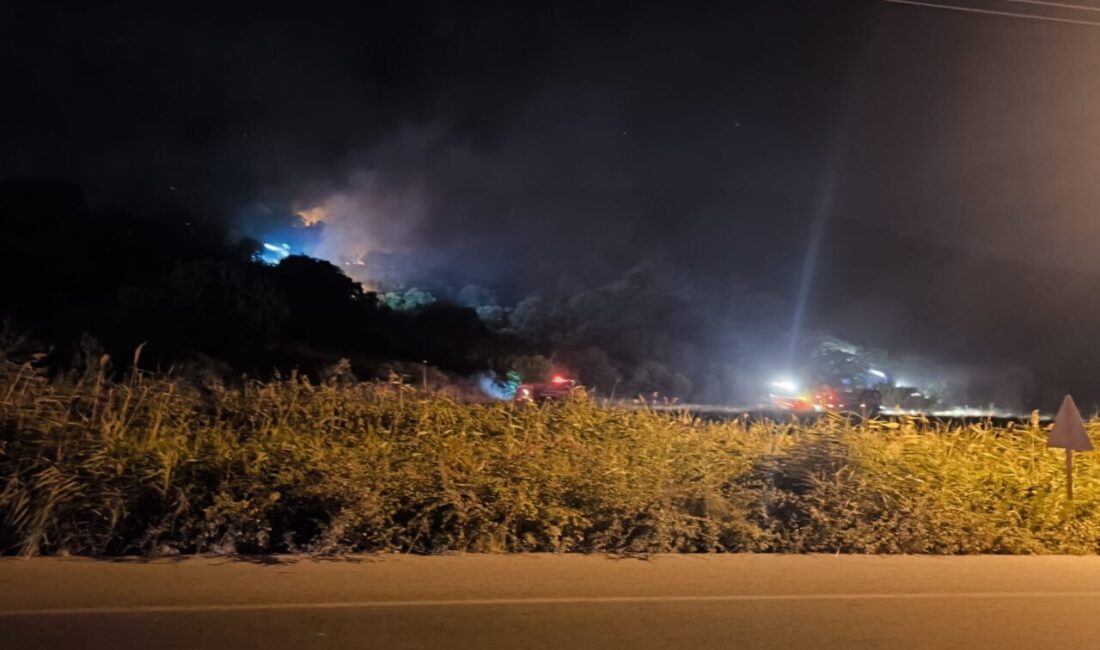 İZMİR (AA) – İzmir'in Dikili ilçesinde çöplükte çıkan ve makilik