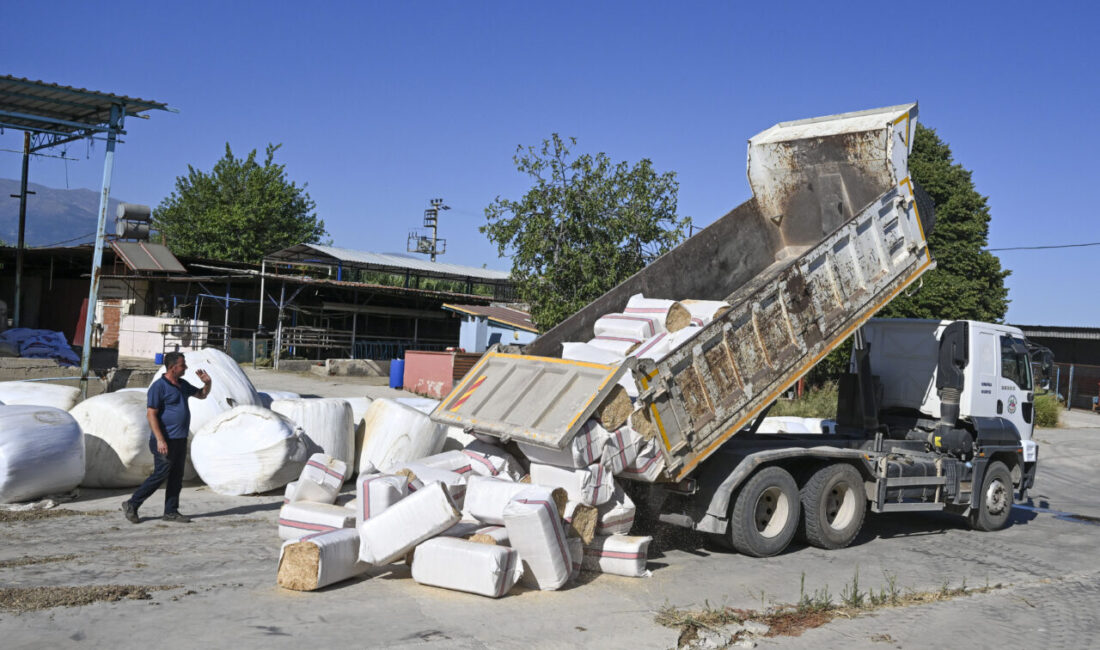 - İzmir İl Tarım ve Orman Müdürü Mustafa Şahin:
- "Yangın