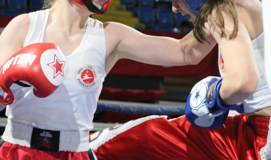 İZMİR (AA) – Türkiye Kick Boks Federasyonu tarafından 81 ilden