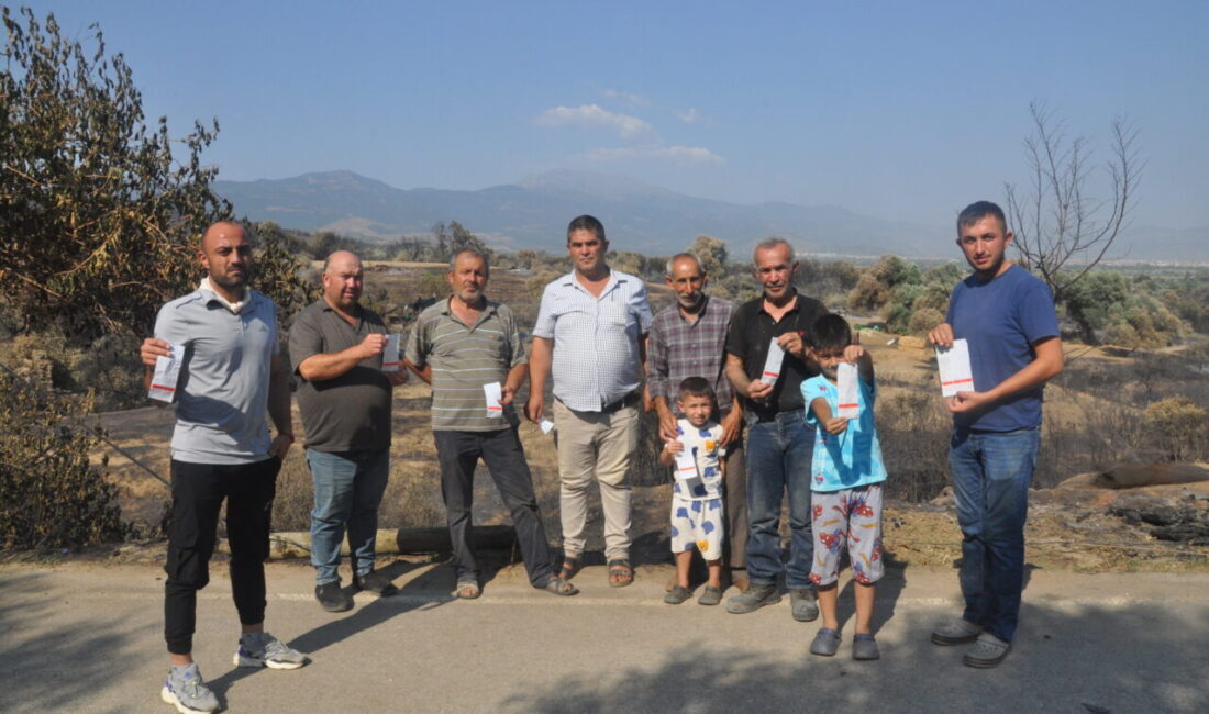 İZMİR (AA) – İzmir'in Ödemiş ilçesinde orman yangınının yaralarını sarmaya