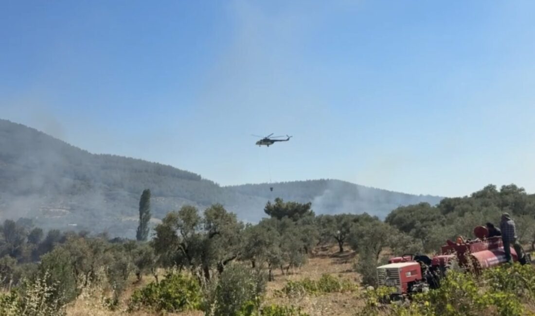 İZMİR (AA) – İzmir'in Kemalpaşa ilçesinde zirai alanda çıkan yangın