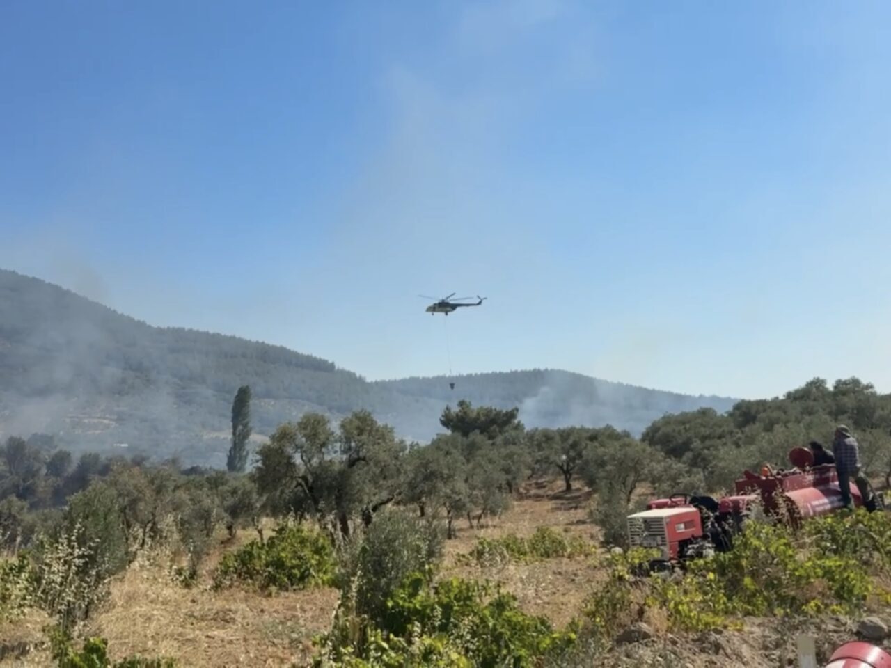 İZMİR (AA) – İzmir'in Kemalpaşa ilçesinde zirai alanda çıkan yangın