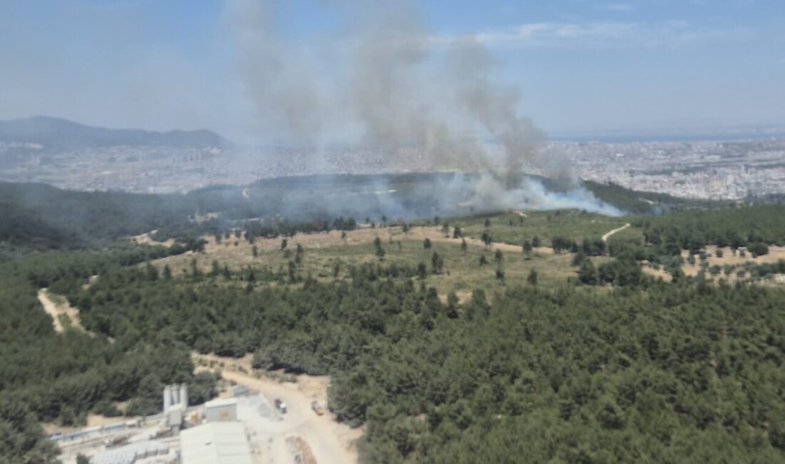 İZMİR (AA) – İzmir'in Buca ilçesinde çıkan orman yangınına havadan
