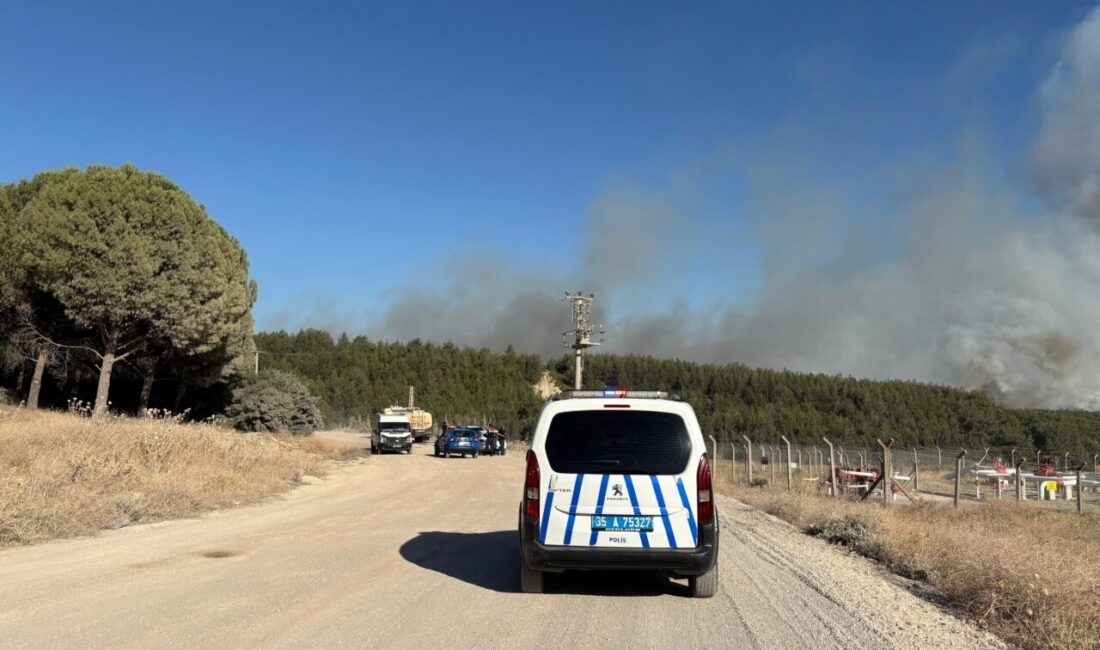 İZMİR (AA) – İzmir'in Buca ilçesinde ormanlık alanda çıkan yangına
