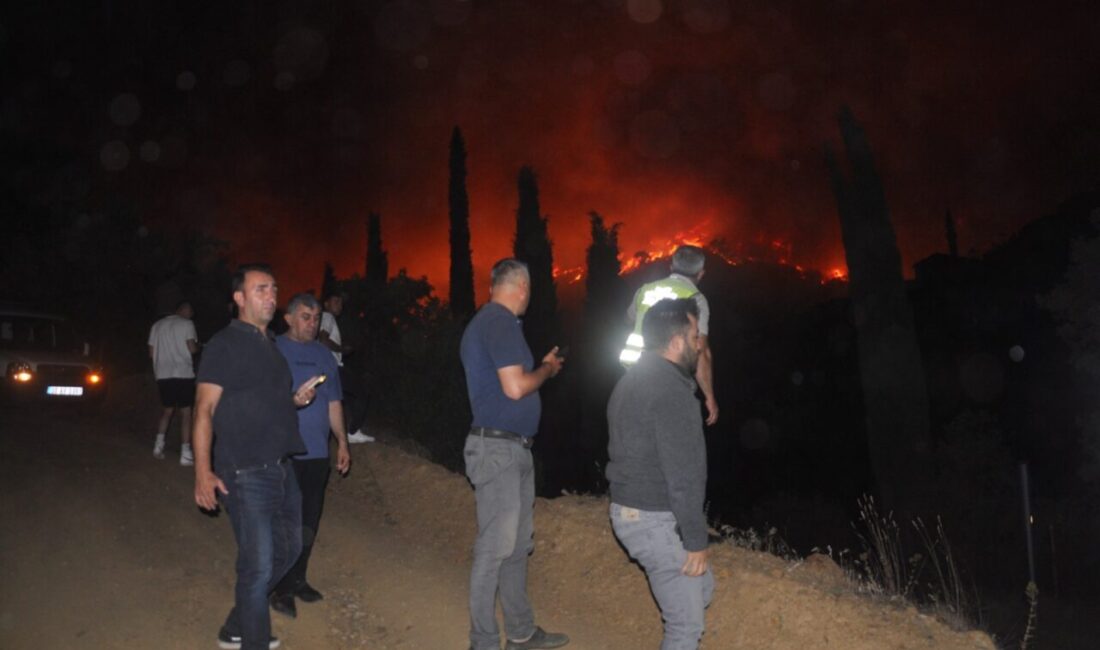 İZMİR (AA) – İzmir'in Ödemiş ilçesinde ormanlık alanda çıkan yangına